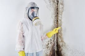 Environmental Consulting for Mold Prevention in Chilton, WI